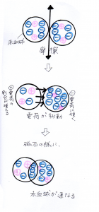 %e3%82%b9%e3%83%88%e3%83%ac%e3%82%b9%e3%81%a8%e8%a1%80%e6%b6%b21-3